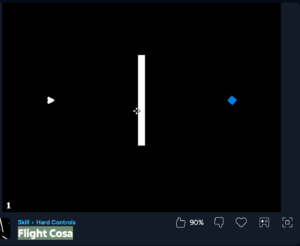 Flight Cosa 3